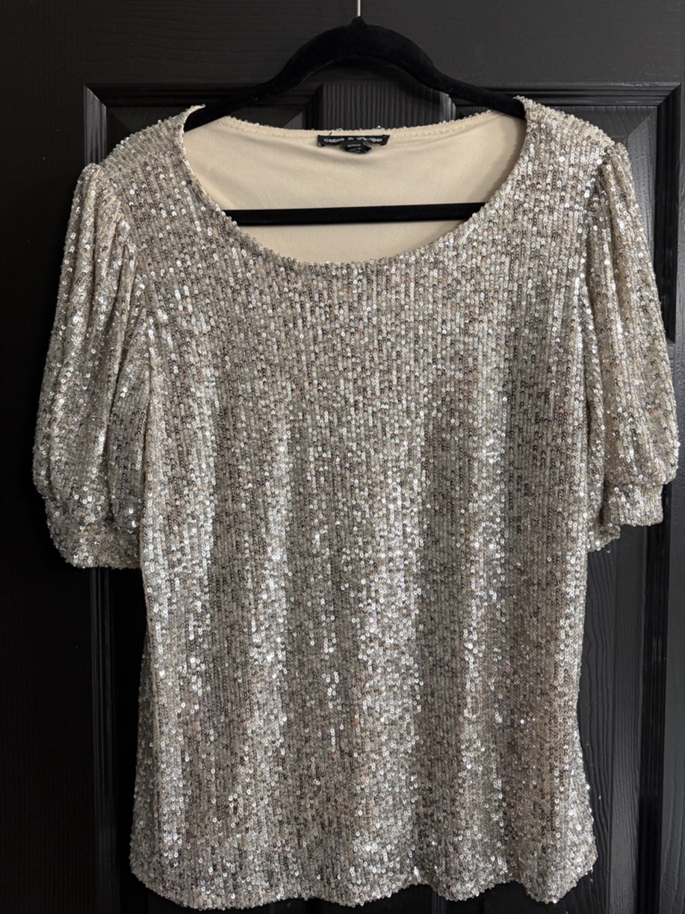 Cable & Gauge Silver Sequin Short Sleeve Scoop Neck Top